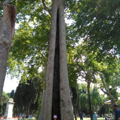 Img 20200320 Wa0163